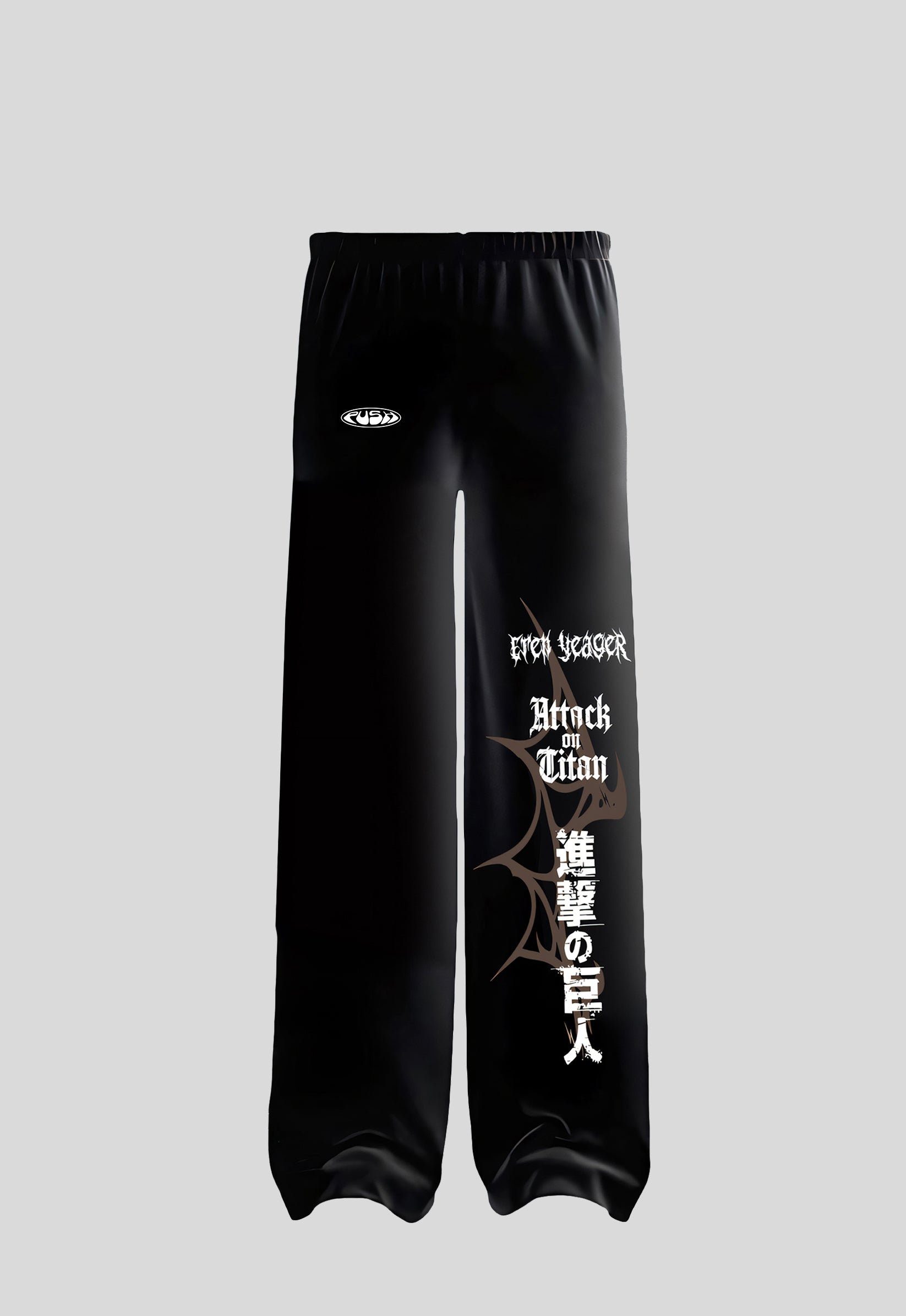 AOT Baggy Pants